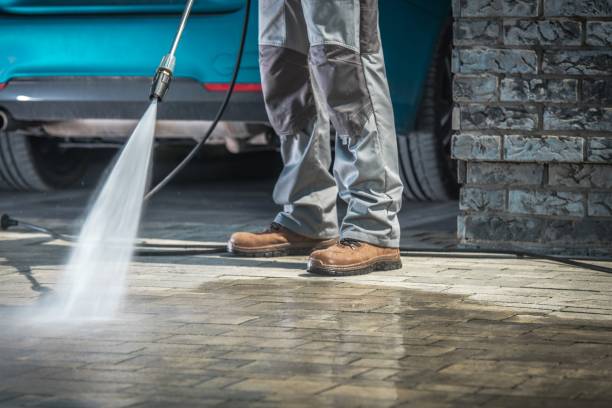 Best Animal Enclosure Cleaning  in Hden Springs, ID