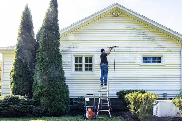 Best Fence Cleaning  in Hden Springs, ID